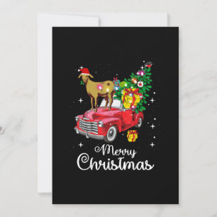 Ziegen fahren rotes Auto Weihnachten