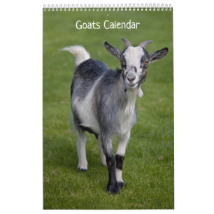 Ziegen Kalender