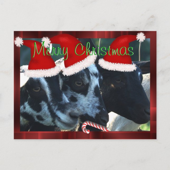 Ziegen-Kinderweihnachtspostkarte kann Feiertagspostkarte (Vorderseite)