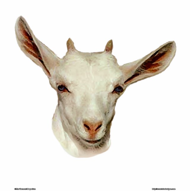 Ziegen-Kopf Freistehende Fotoskulptur (Vorne)