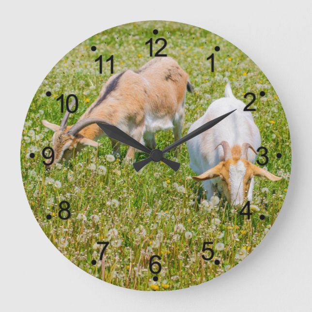 Ziegen Landtiere große Uhr (Vorderseite)
