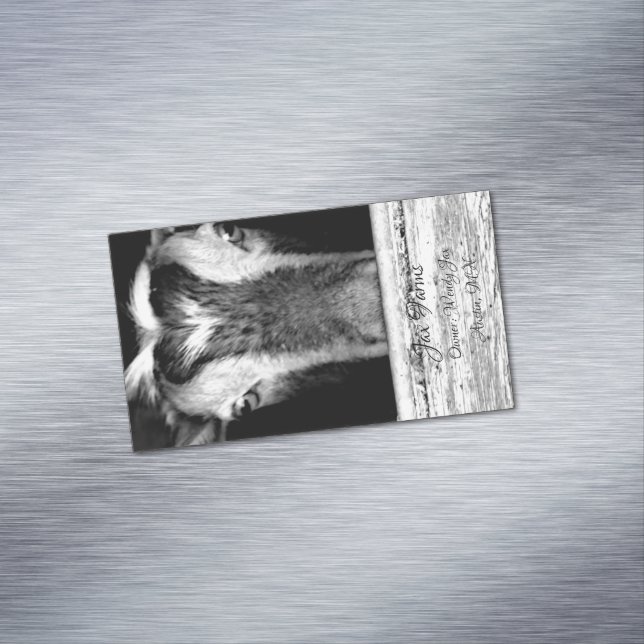 Ziegen-Magnet Magnetische Visitenkarte (Beispiel)