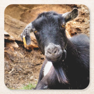 ZIEGEN RECHTECKIGER PAPPUNTERSETZER