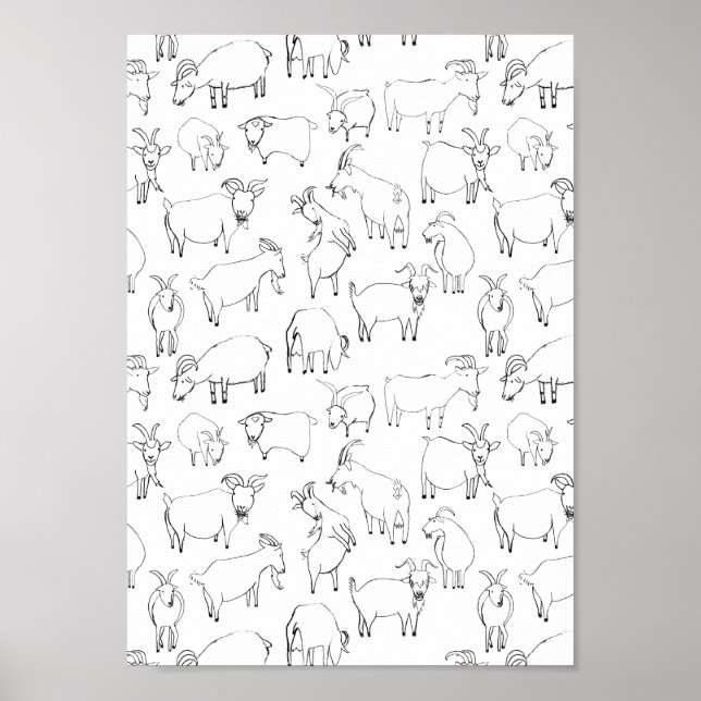 Ziegen spielen - transparent poster (Vorne)
