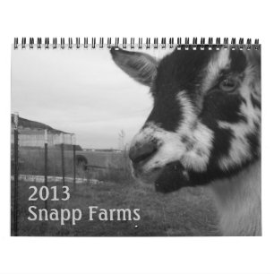 Ziegen und Geflügel-Kalender 2013 Kalender