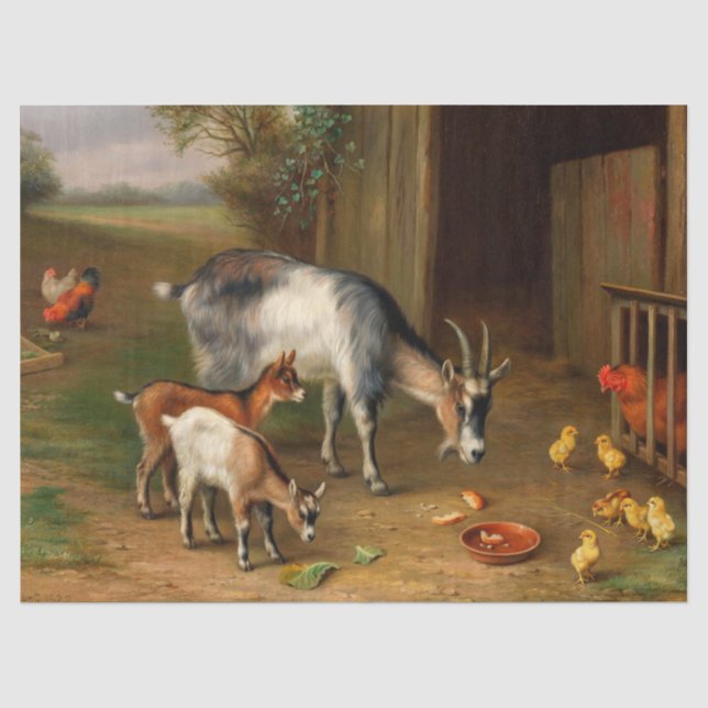 Ziegen und Hühner im Betrieb Seidenpapier (Vorderseite)
