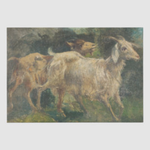 Ziegen (von Vincenzo Caprile) Seidenpapier