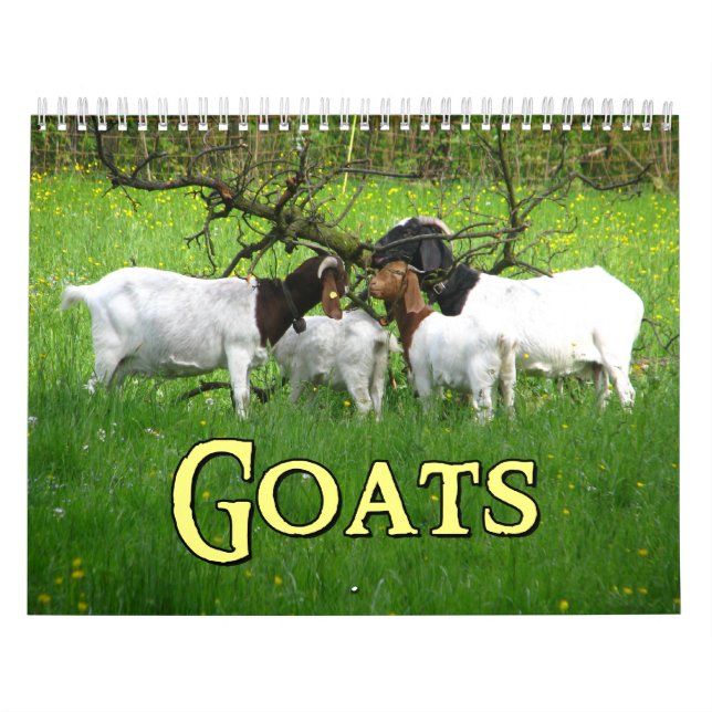 Ziegen-Wandkalender Kalender (Titelbild)