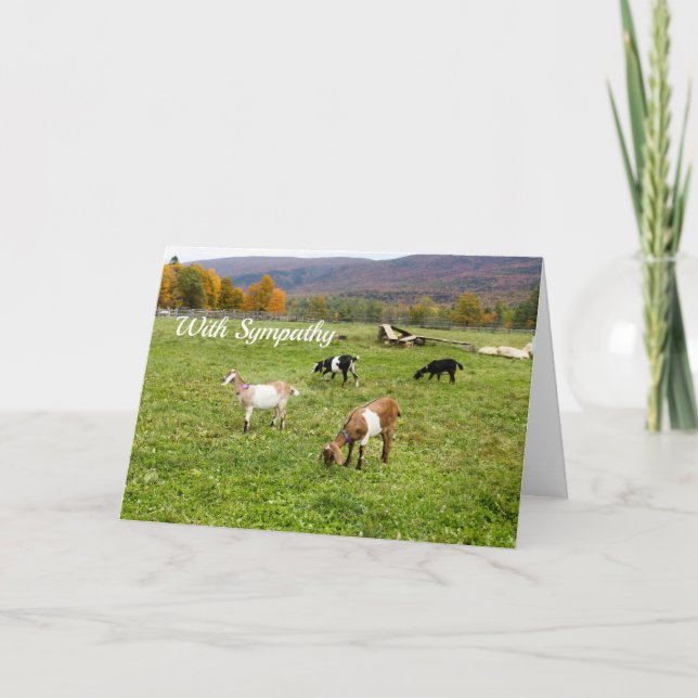 Ziegen-Weiden Vermont Foto Beileid Karte (Vorderseite)