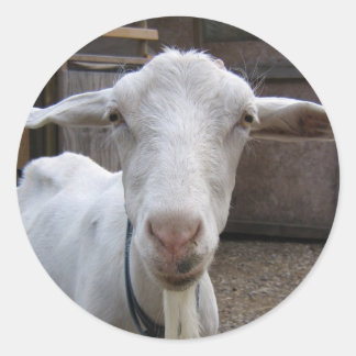 Ziegenaufkleber Runder Aufkleber