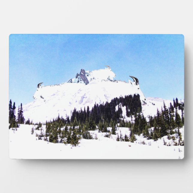 Ziegenberg Fotoplatte (Vorderseite)
