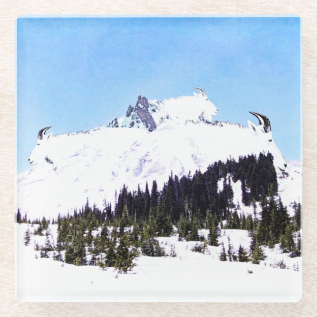 Ziegenberg Glasuntersetzer (Vorderseite)