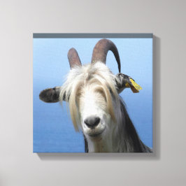 Ziegengewebe Leinwanddruck