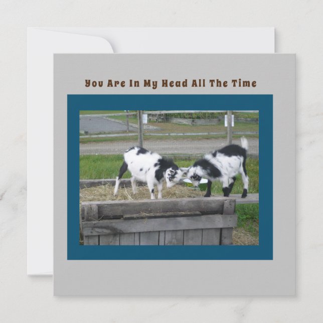 Ziegenkarte (Vorderseite)