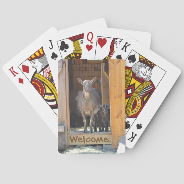 Ziegenkarte Spielkarten (Rückseite)