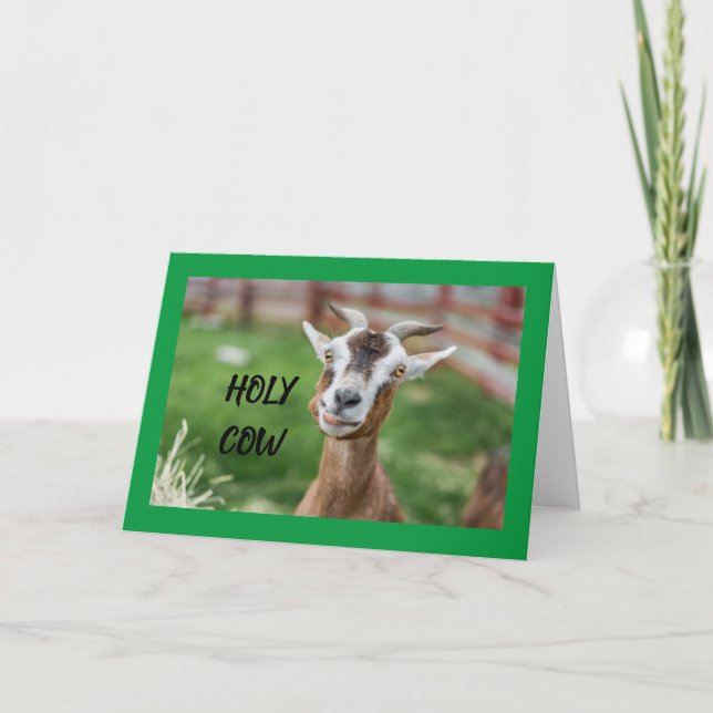 ZIEGENKIDDING FÜR IHREN **13. GEBURTSTAG** KARTE (Vorderseite)