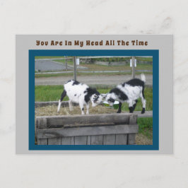 Ziegenpost-Karte Postkarte