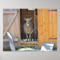 Ziegenposter