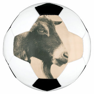 Ziegenprofil Fußball