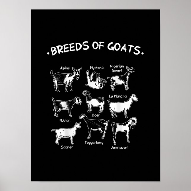 Ziegenrassen - Geschenk für Bauern Poster (Vorne)