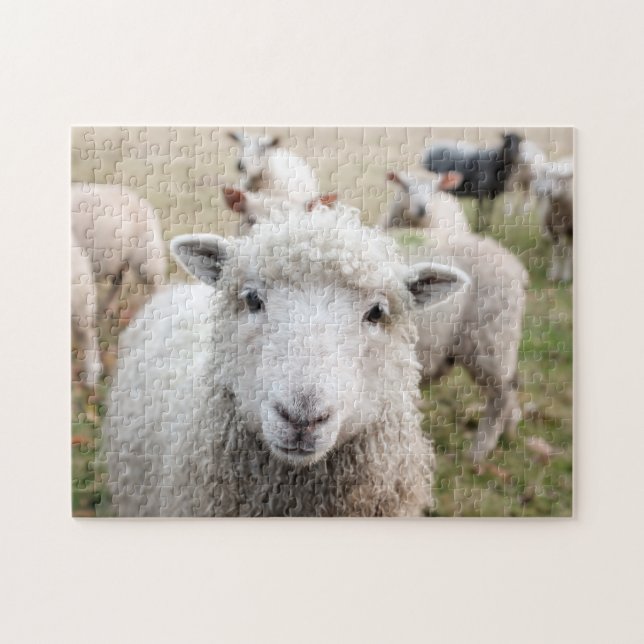 Ziegenschafe Wildtiere Familienfeldart (Horizontal)