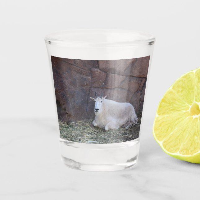Ziegenschuss Schnapsglas (Vorderseite)