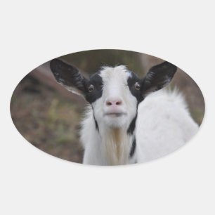 Ziegensticker Ovaler Aufkleber