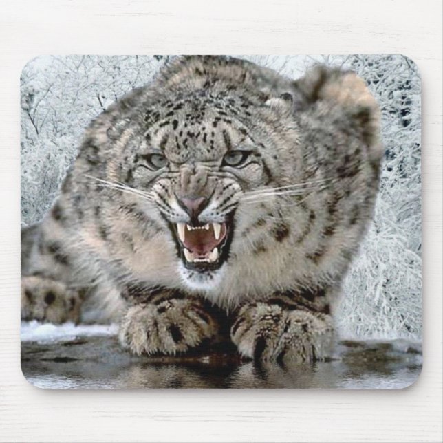 Ziehen Sie sich zurück! Mousepad (Vorne)