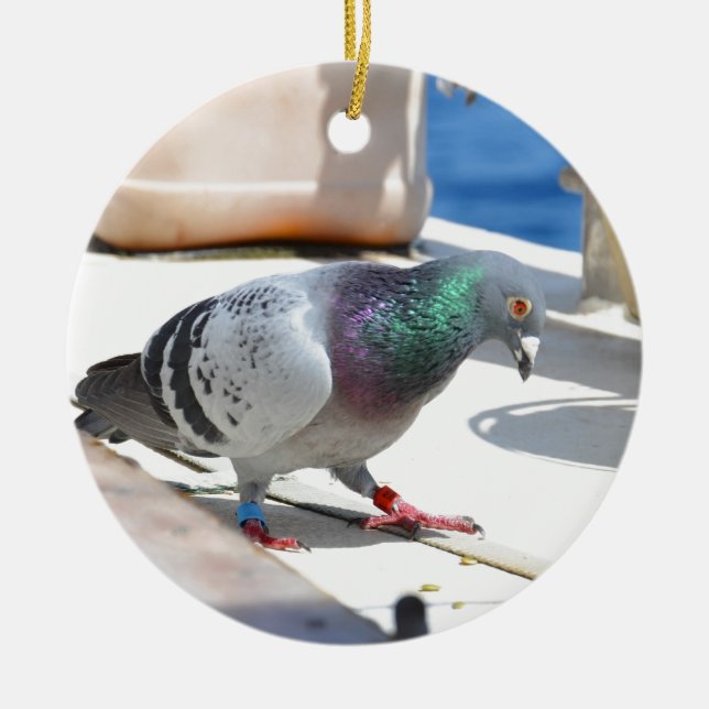Zieltaube auf einer Yacht Keramik Ornament (Vorne)