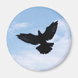 Zieltauben-kommender Zuhause-Magnet Magnet