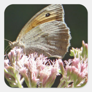 Ziemlich großer Schmetterling Quadratischer Aufkleber