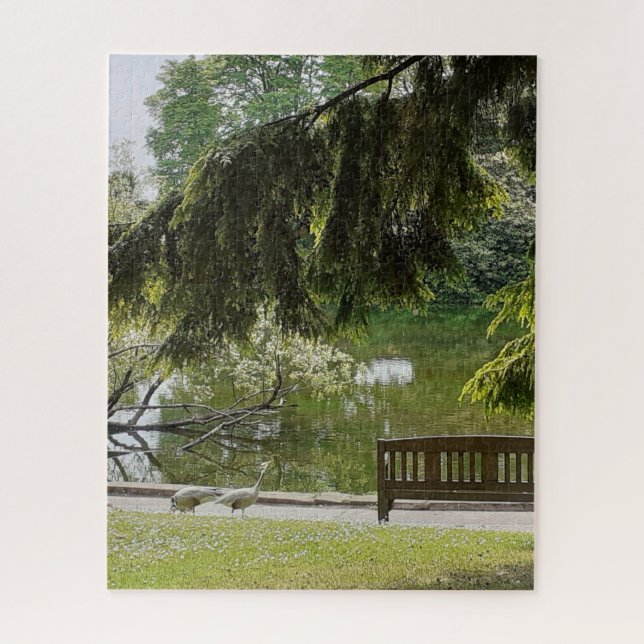 Zierente Duck Pond Jigsaw Puzzle (Vertikal)