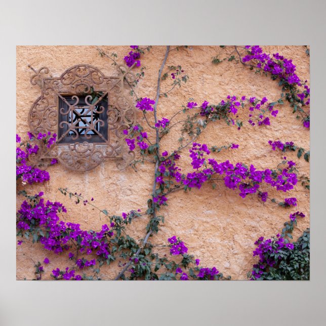 Zierfenster mit Bougainvillea Poster (Vorne)