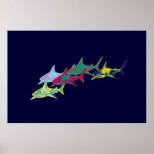 Zierhaie Poster