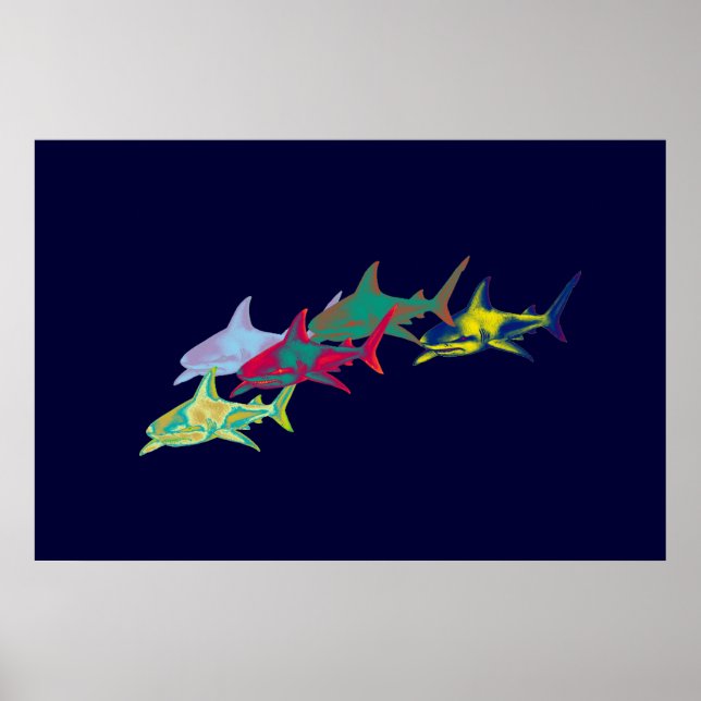 Zierhaie Poster (Vorne)