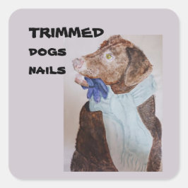Zierhunde Nägel Klassische Rundkleber Quadratischer Aufkleber