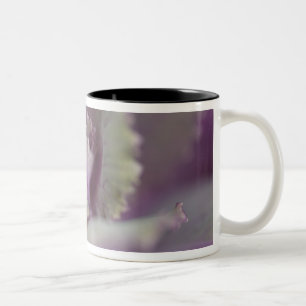 Zierkohl Zweifarbige Tasse