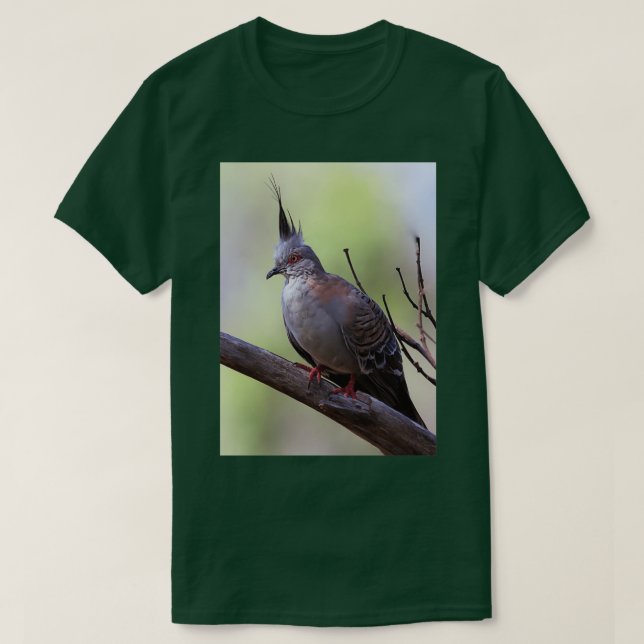 Ziertaube 15 T-Shirt (Design vorne)