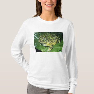 Zierteufelsfrosch, (Ceratophrys ornata), T-Shirt