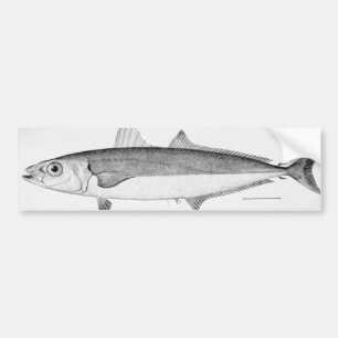Zigarren-Fische Autoaufkleber