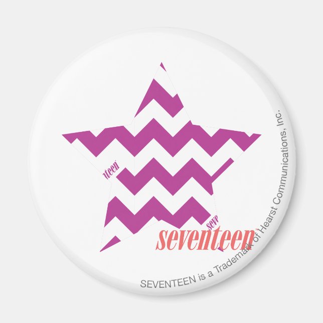 ZigZag Lila 4 Magnet (Vorne)