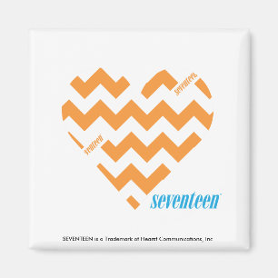 ZigZag Orange 2 Magnet