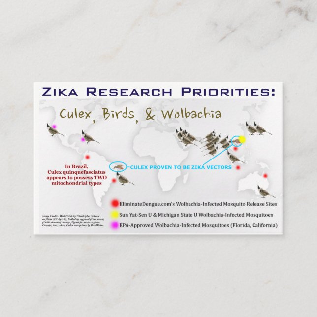 Zika Research Priorities Biz Cards von RoseWrits Visitenkarte (Vorderseite)