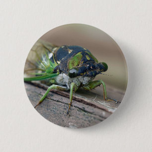 Zikade Button