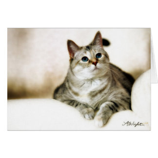 Zilla dans des tons Brown