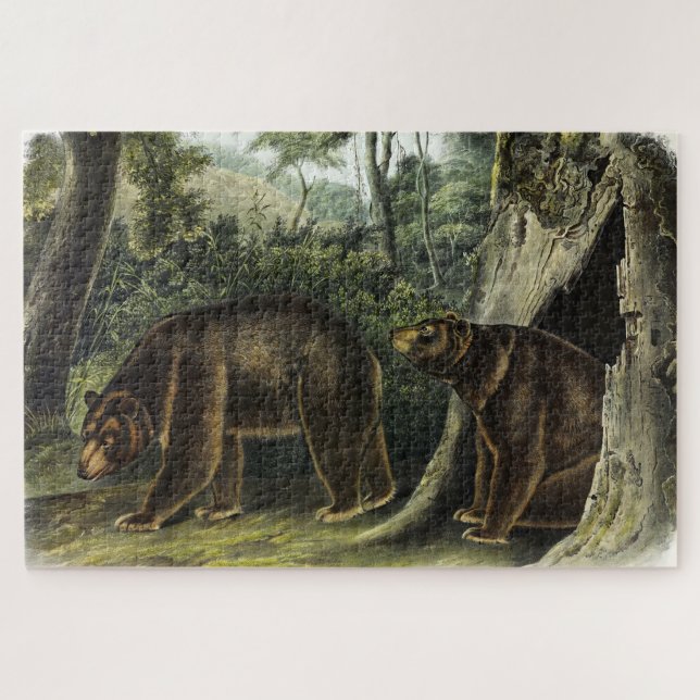 Zimtbär aus Audubons Quadrupeds (Horizontal)
