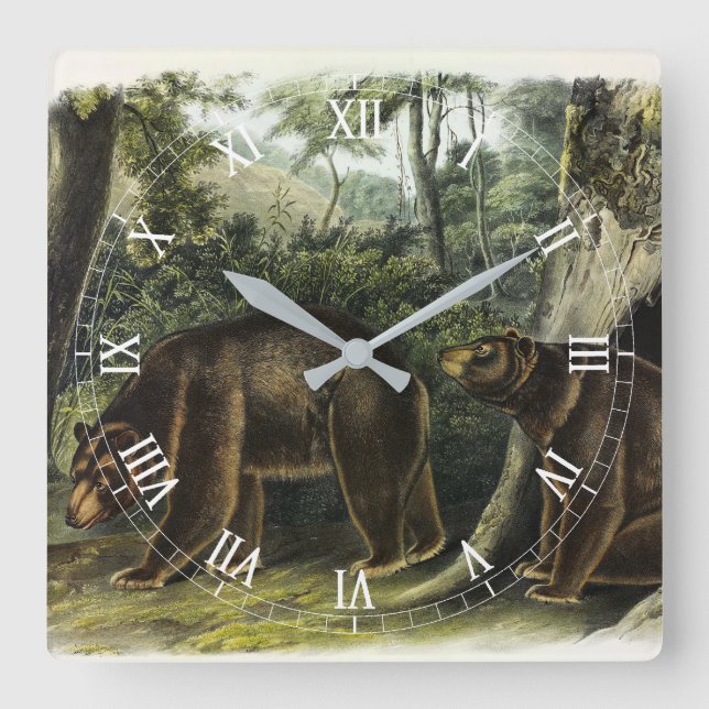 Zimtbär aus Audubons Quadrupeds Quadratische Wanduhr (Vorderseite)