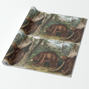 Zimtbär (Ursus Americanus var. Cinnamonum) Geschenkpapier