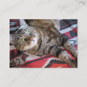 Zimtkatze aceo ATC Visitenkarte