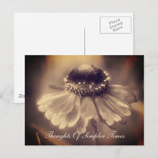 Zinnia Blume Einfachere Zeiten Inspiration Postkarte (Vorne/Hinten)